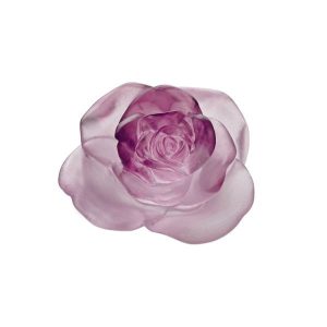 Pink flower rose passion daum